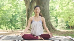 Sivananda Yoga 呼吸法 /20分